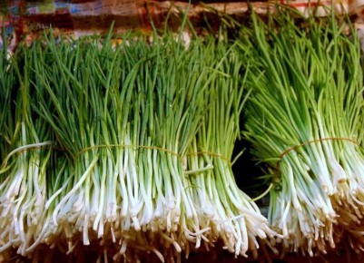 Секреты успешного выращивания лука: от зимней посадки до весеннего ухода