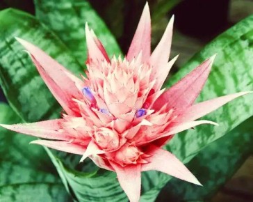 ������ �������� ������ ��������� ���������� ������ ����: ��� � ����������� ������