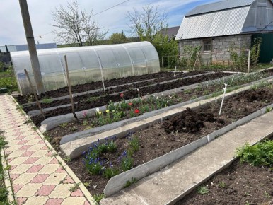 ��� ������ ������ � �����: ������ ��� ����������� ����