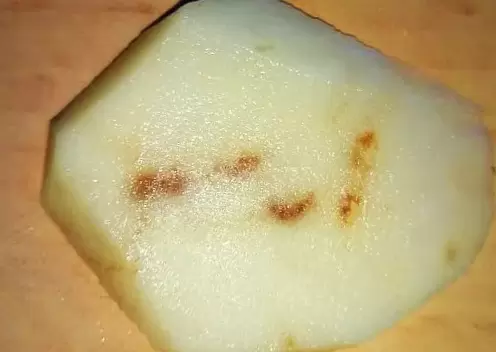 Картофельная ржавость: что нужно знать каждому агроному