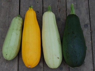 ������� ��������� ����� �������� � ����������: ��� �������� ������ ������