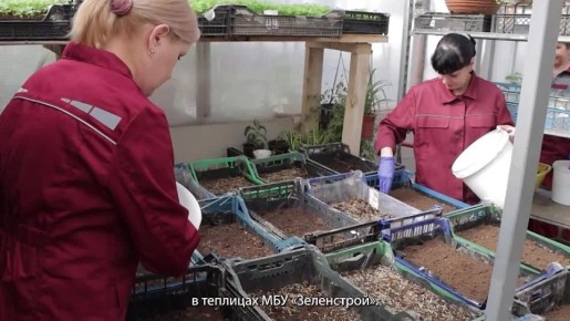 ��������� �������: ������� �������� ����� ��������� ������� ������