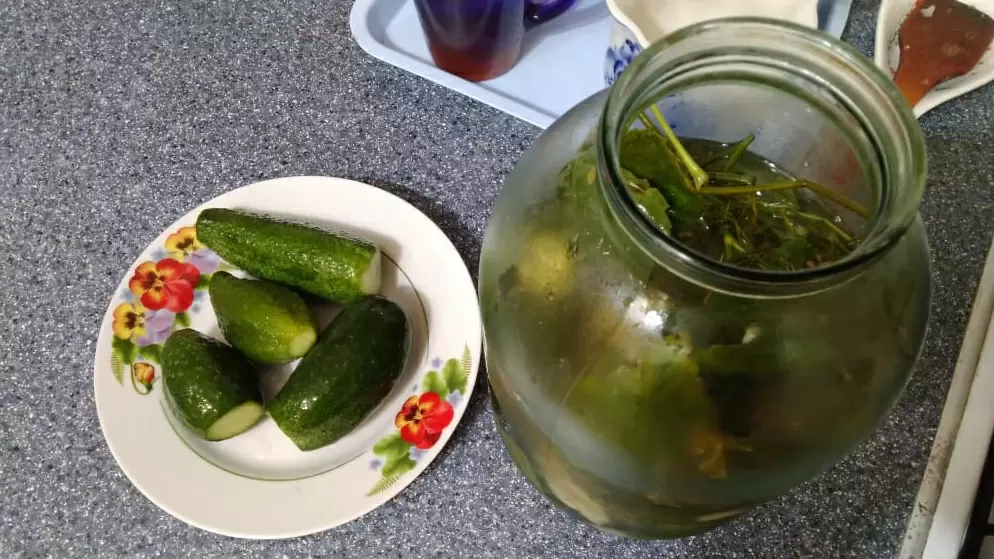 Как засолить хрустящие огурцы: проверенные бабушкины советы и секреты