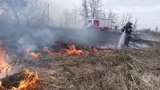 Смолян предупредили об опасности палов сухой травы