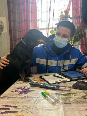 Фантастические звери, которые обитают у пациентов станции скорой медицинской помощи