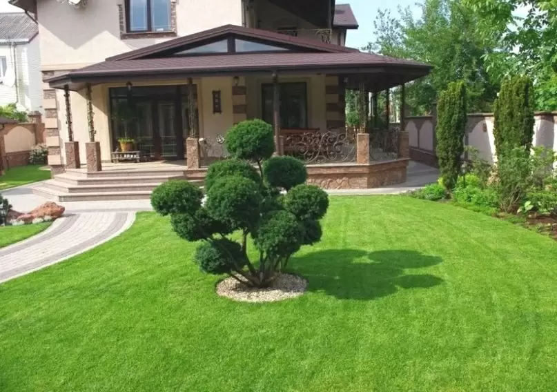 Летний уход за газоном: советы для идеальной лужайки