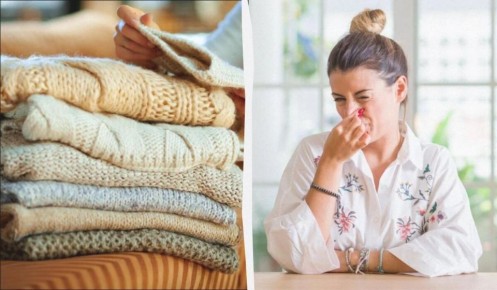 Затхлый запах в шкафу: причины и эффективные решения