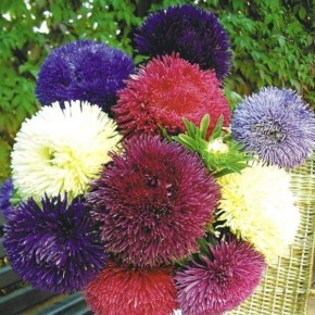 ���������� �����: ��� ��������� ������� �� ����� � ������� ���� ��� ����