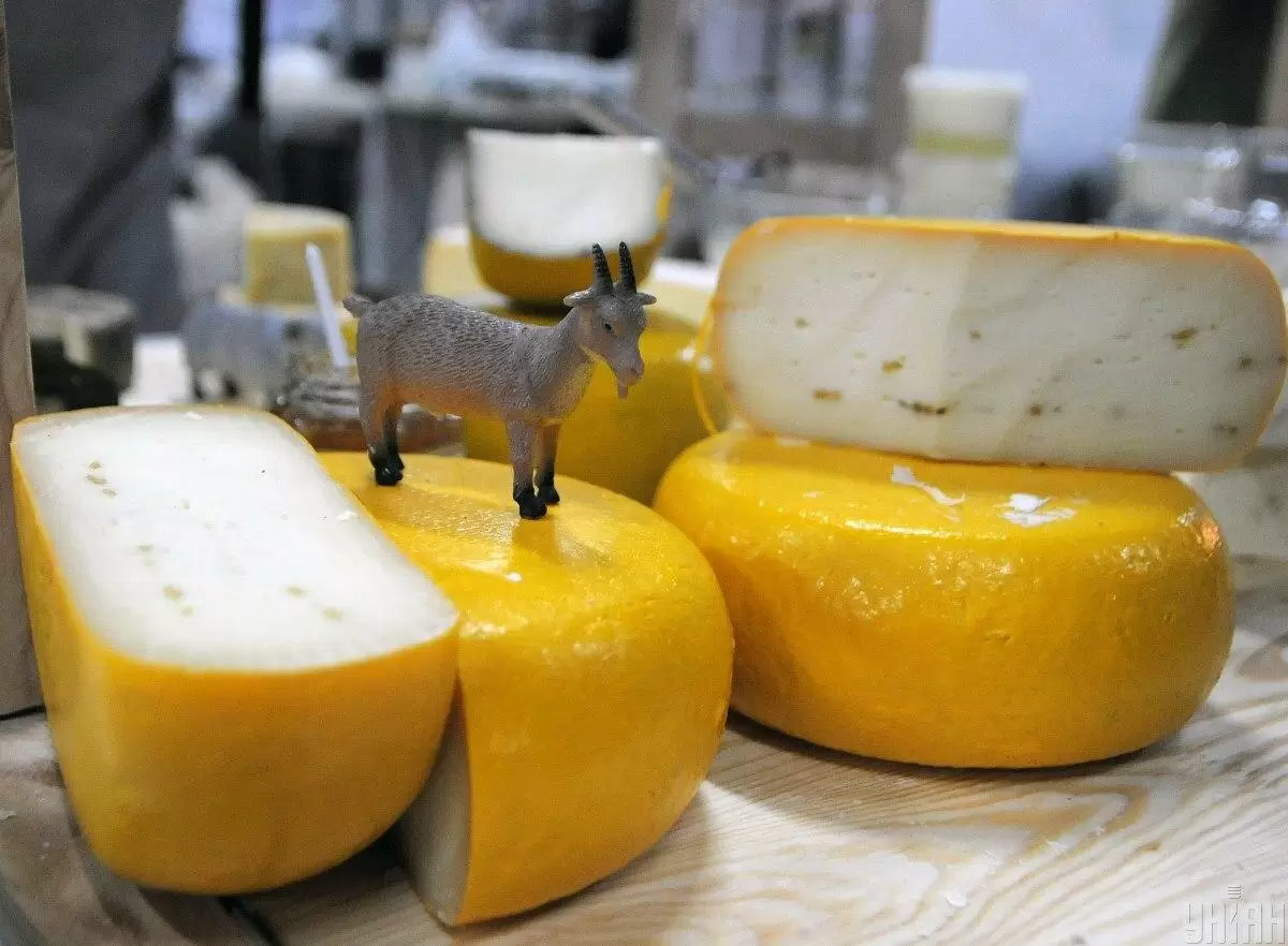 Как сохранить сыр свежим: лучшие советы от эксперта