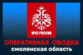 За сутки в Смоленской области