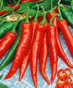 ����� ��������: ������ ����� ����� ������ � ������������� �������