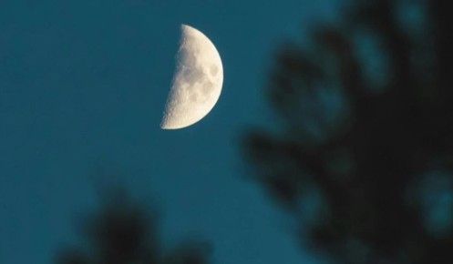 ����� ��������: ��� ���������� � ������ �������� �������� �� ���� ������