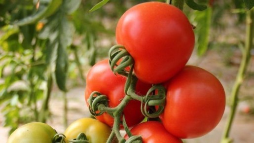 ����� ���� ������: ��������� ����� ��� �������� � ���������