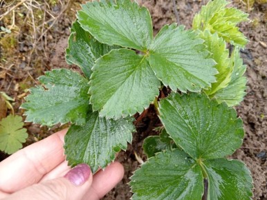 ��� ���������� �������� ��������� ���� � ��� ��� ������� ������