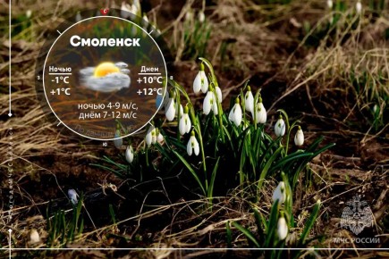 ���������� ���������� � ������������ ����