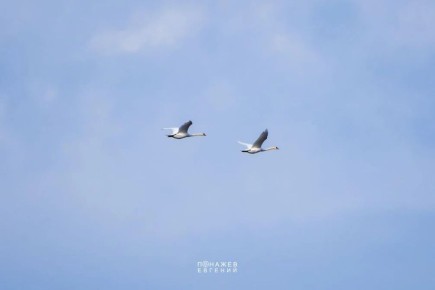 � ������� ����� ������, ������!