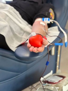 ���������� ������������ ���������� ������� �� ������ ������