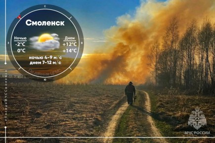 ������ ������� ��������. ������ ������� ��������� � ������� ������� ���������� �������� ������