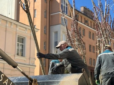 ��������� �������: �� ����� ������������� ������� ������� ������ �� �������������� ������ ����