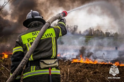 ���� ����� �� ������������ ���� � ��������