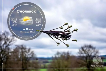 �����, ������ � ������ ������� �����