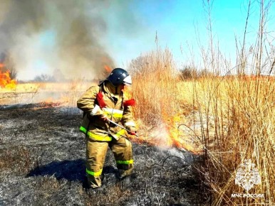 ����� ����� ���������� �������