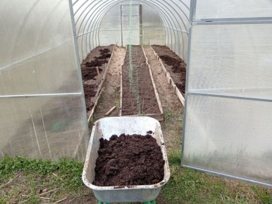 ������� �������� ��������� � ������� ������