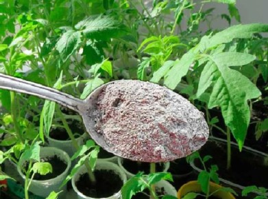 ��� ���������� ������� ������� ������� � ������� ��������� ���� � ������