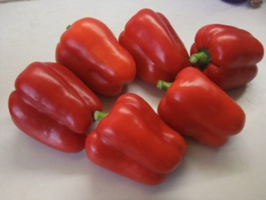 ����� ������: ������ ������� ����� ��� ������ �������