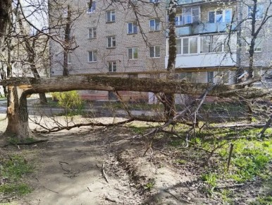 ��������� �������: � ����� � ��������� ������� ����� � ���������������� ��������� ��������� ��� ������������ ������ ������ � ����������������� ����������� �������� � ������ ���������� ����������