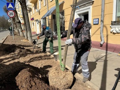 � ������ ��������� �������� ����� �������