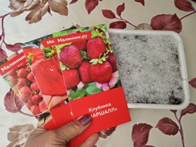 ������ ����� ��������: ������� ������