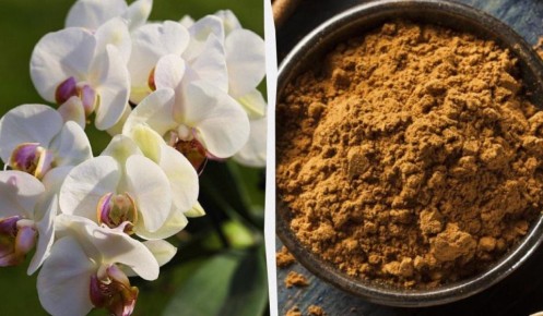 ��� ������ ������� �� ��������� �������� � ������� ������