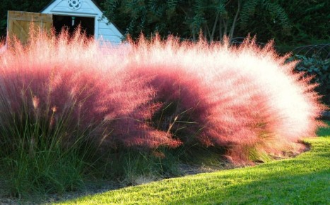 ������������ �����: ������� ������� ��� � ��������� � �������������