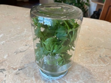 ��� ��������� ������ ������: ������ ������������ �����