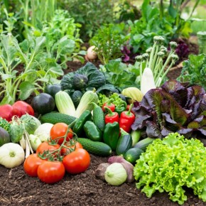 ������ ���������� �������: ��� ���������� ������ �� ��������� �����