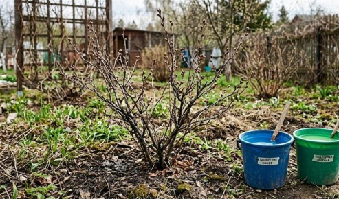 ��� ��������� ���������� ��������� ������ ��� ��������� ��������� ������