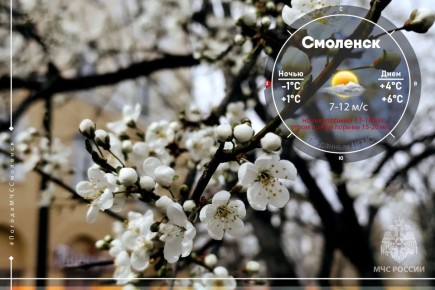 ��������. ������� ������ �����