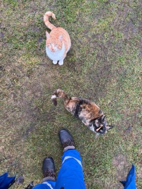 ������� ����� �� ������, ������� ������ ������� ������ ������