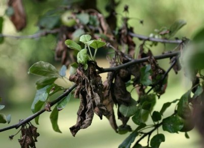 ��� �������� ������ � ����� �� ����������: �������� ������ ��� ���������