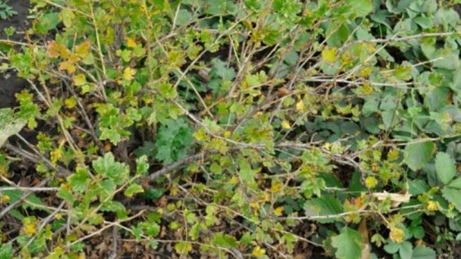 ��� ������� ������� ���������� ����� �������� ������ �� 30%