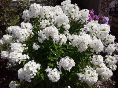 ����� ������ ������ ���������: ���� ������ �� ����� ������������