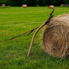 ��������� �����: ��� ������������ �� ��� ���������� � ��������� �����������