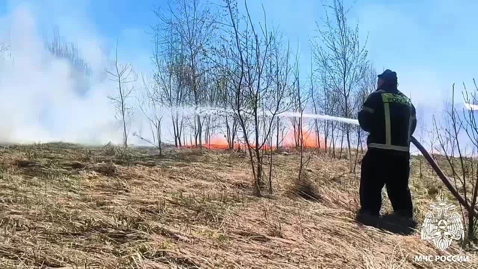 Многие считают, что пал сухой травы помогает растениям расти быстрее и делает почву плодороднее
