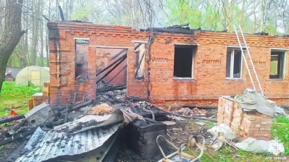 В Починковском округе огонь уничтожил дачу