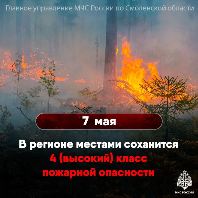 По информации Смоленского ЦГМС 7 мая местами на территории Смоленской области сохранится высокая пожарная опасность (4 класс)