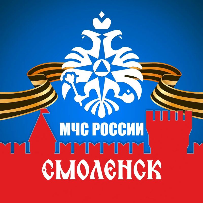 Вести-Смоленск - за первые дни мая в Смоленской области зафиксировано более 90 палов травы