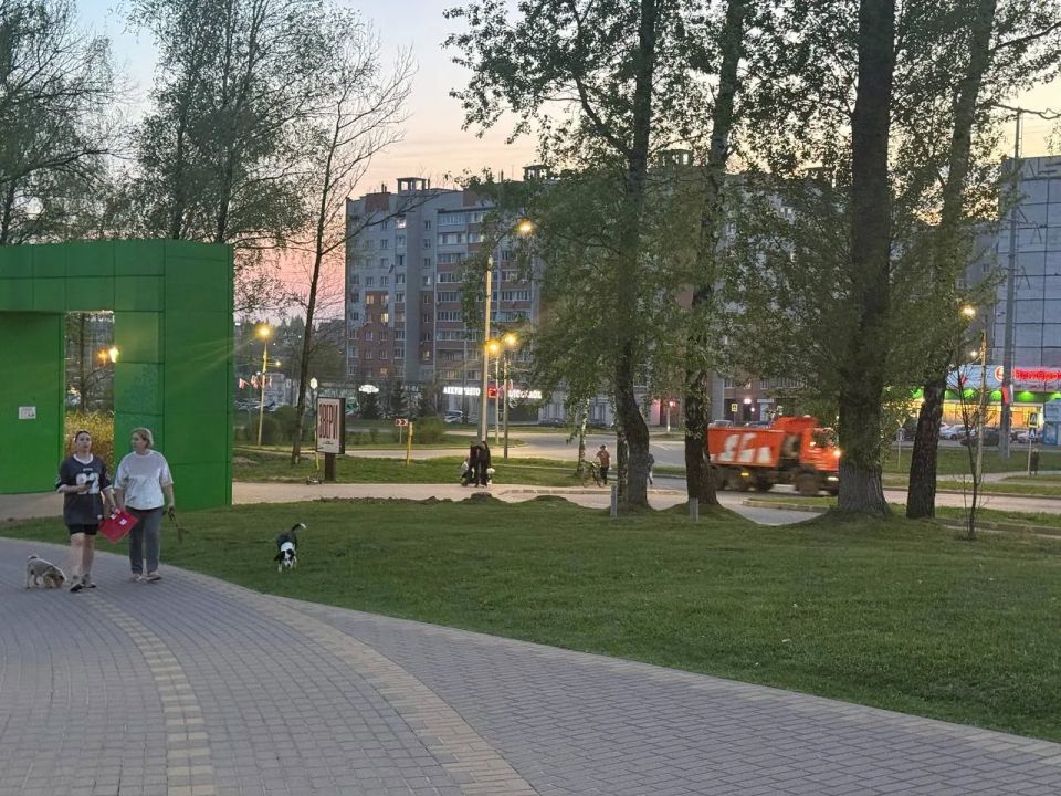 В смоленском сквере имени Клименко устанавливают подсветку деревьев