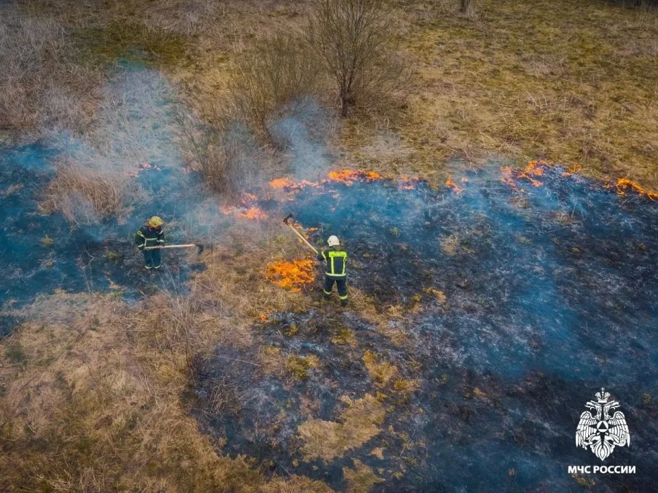 Смолянам выписали более 100 административных протоколов за поджоги сухой травы