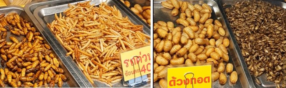 ������� ���������: ����� ��������� �����������